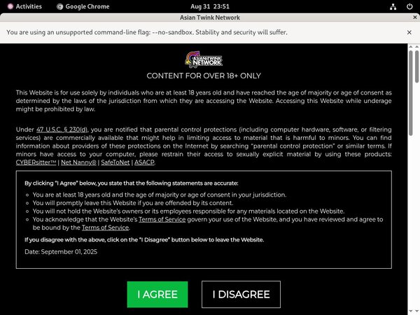 Asia Boy Video Desktop