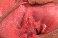 Big Gapemypussy.com s0 Big Gapemypussy.com s0