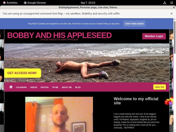 Bobbyappleseed.modelcentro.com Discount Free Trial