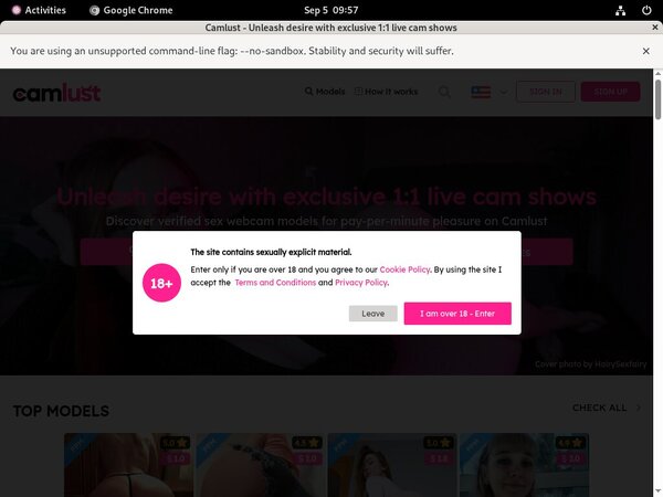 Cam Lust Free Passwords