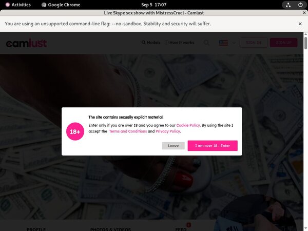 Camlust.com Billing Page