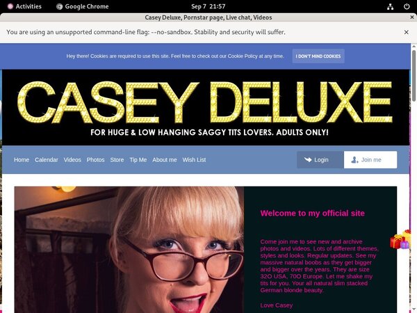 Casey Deluxe Payment Page