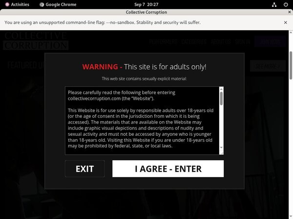 Collectivecorruption Site Review