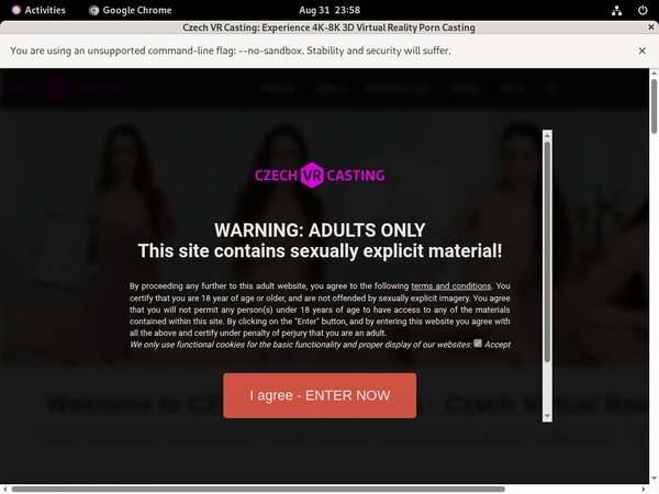 Czech VR Casting Site Discount