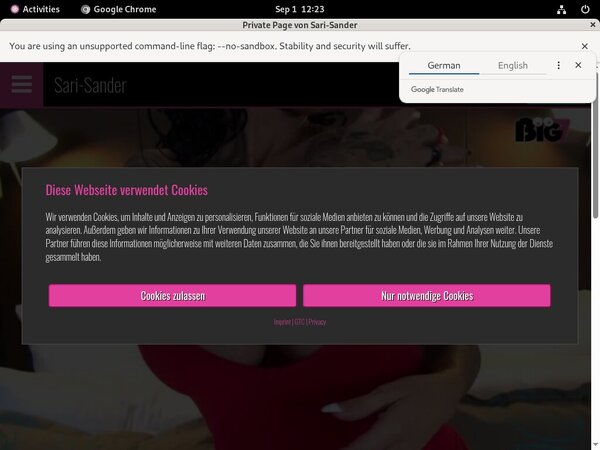 Discount SariSander Sale