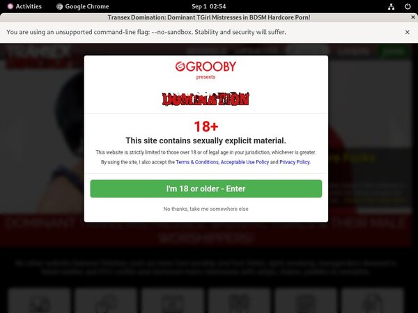 Domination Transex Free Passwords