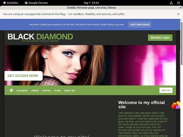 Dwilde Full Website