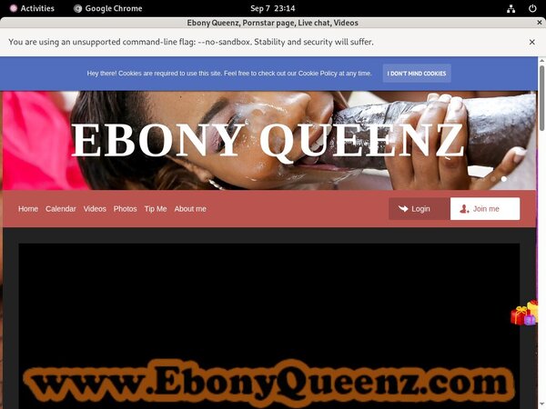 Ebony Queenz Pornstars