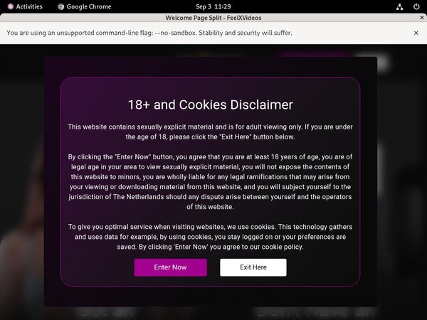 Feelxvideos.com Passwords Free