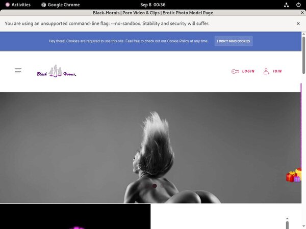 Free Access To BLACKHORNIS