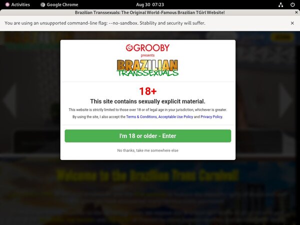 Free Braziliantranssexuals Discount Offer