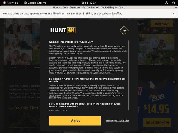 Free Hunt4k Films