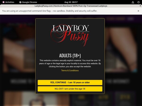 Free Ladyboy Pussy Movies