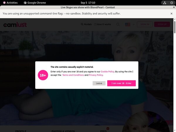 Free Password To Camlust.com