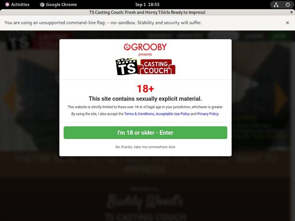 Free Password Tscastingcouch