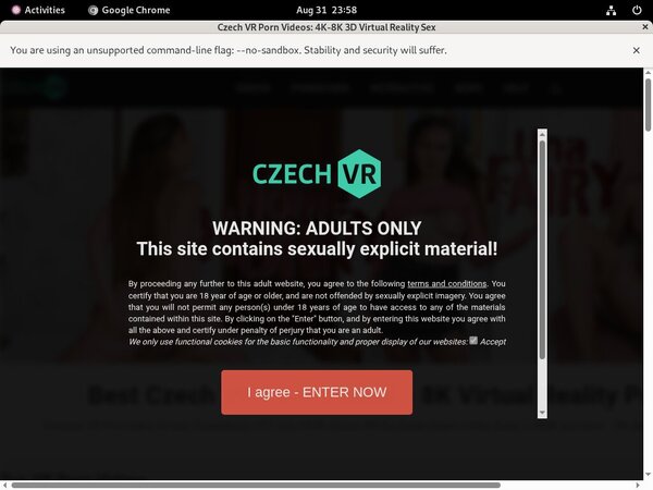 Free Premium Accounts For Czechvr.com