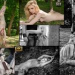 Free Working Subspace Land Account