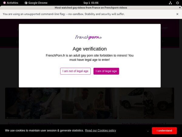 French Porn Gay Login Pass