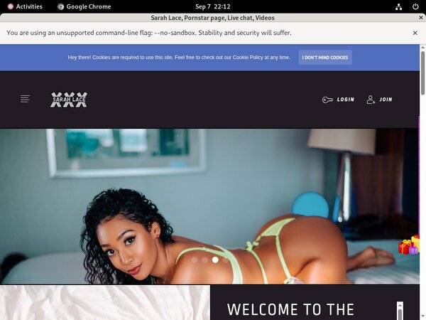 Get Sarah Lace Free Logins