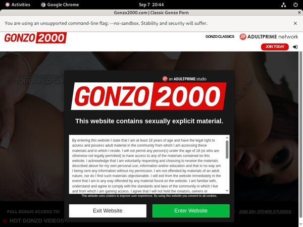 Gonzo 2000 Shop