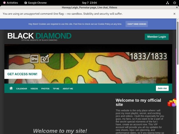 Honeyy Leigh Xxx Video