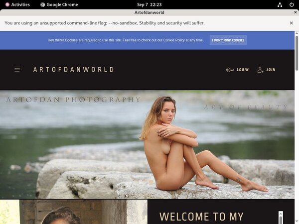 How To Get Free Artofdan Accounts