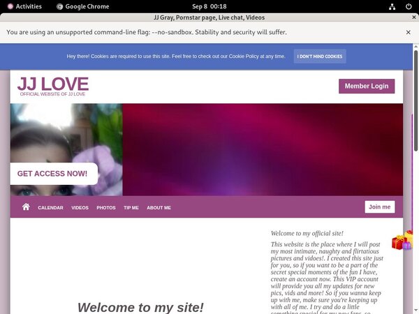 Jjlove.modelcentro.com Passwords 2017