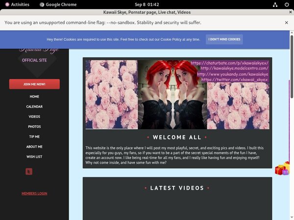 Kawaiiskye.modelcentro.com Cost