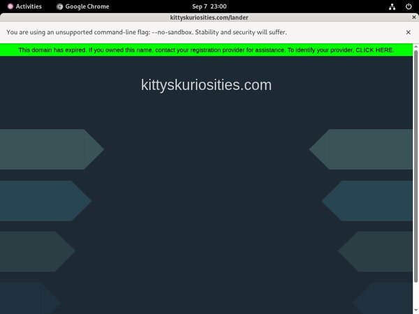 Kitty'sKuriosities Discreet Billing