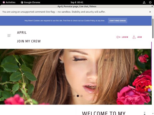 Ladyapril.modelcentro.com Wnu.com