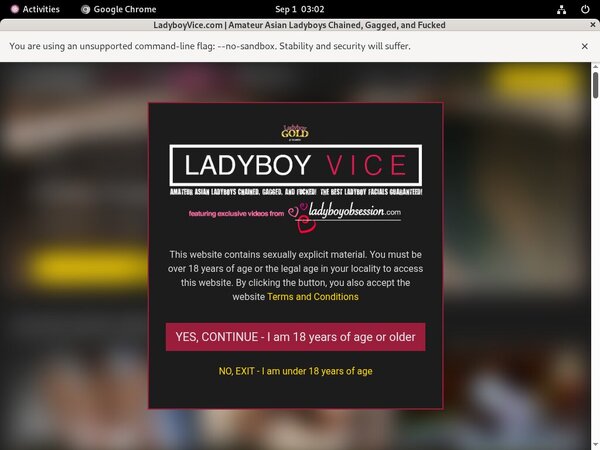 Ladyboyvice.com Premium Pass