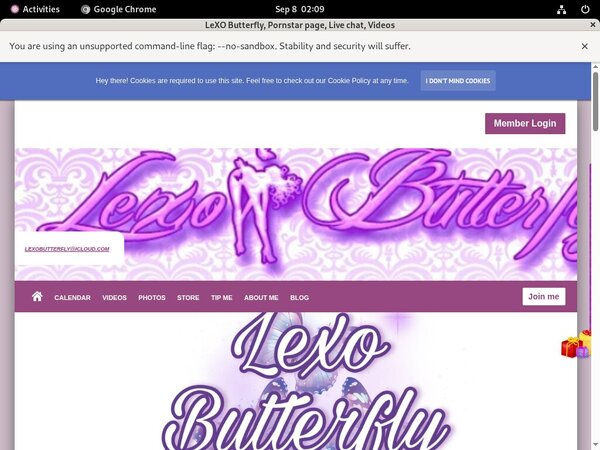 LeXO Butterfly Cheap Deal