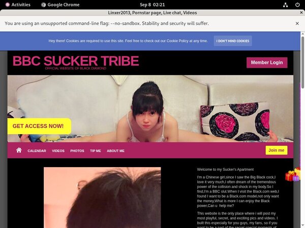 Linxer2013 Discount Page