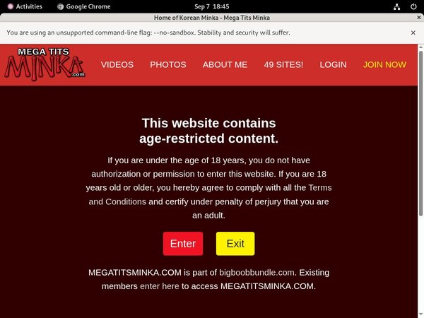Megatitsminka.com For Tablet