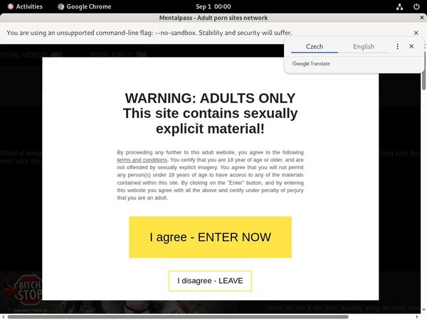 Mentalpass.com Paysite Passwords