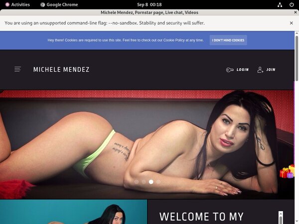 Michele Mendez Promo Discount