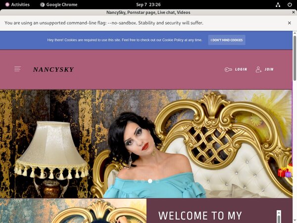 NancySky Password List