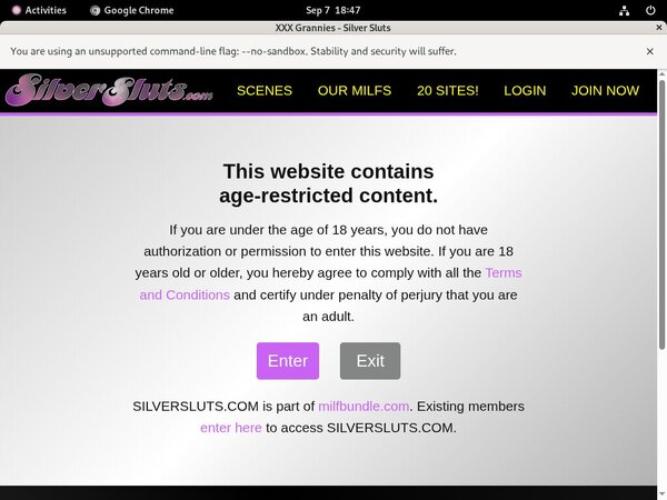 New Silver Sluts Site Rip