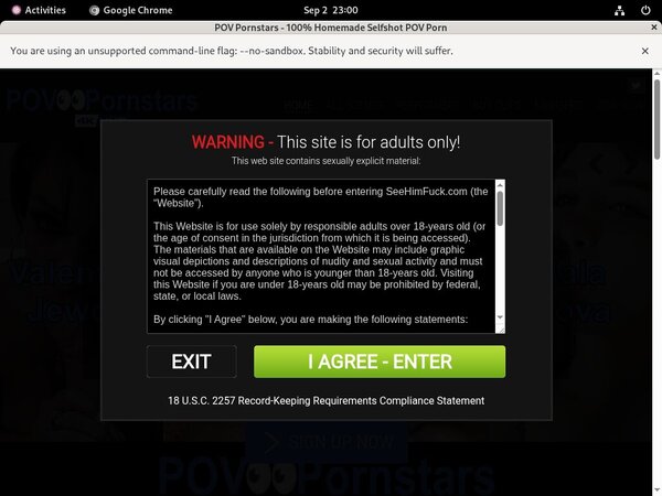 POV Pornstars Discount Deal