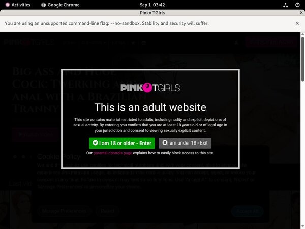 PinkO TGirls Promo Codes