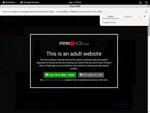 Pinkovod.com Secure Purchase