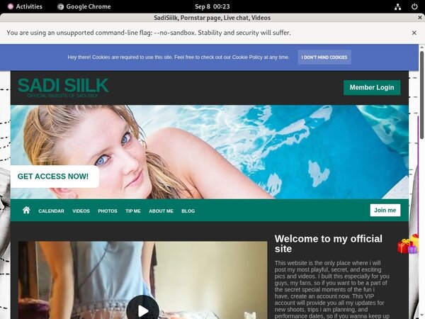 Sadisiilk.modelcentro.com Rocketgate