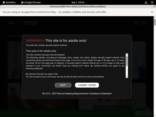 She Loves Black Porn Login
