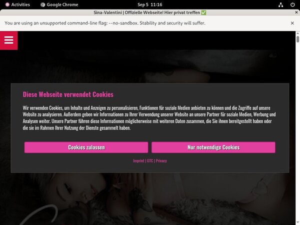 Sina Valentini Member Access