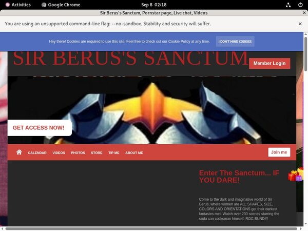 Sir Berus's Sanctum Login Pass
