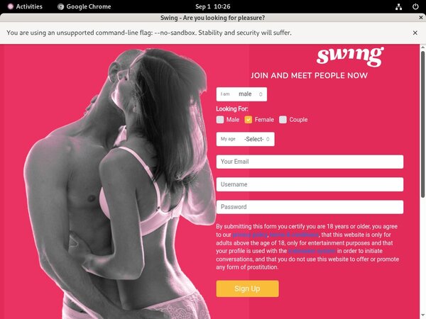 Swing Euro Direct Debit