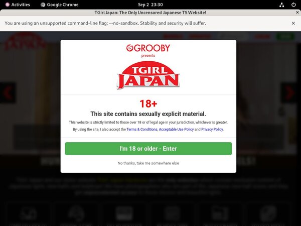 TGirl Japan Accounts And Passwords