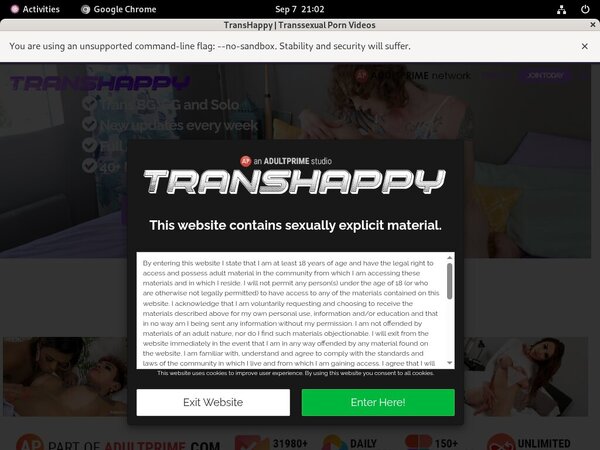Trans Happy Model