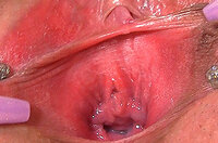 Try Free Gapemypussy.com s2