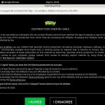 Twinkboysparty.com Free Scene